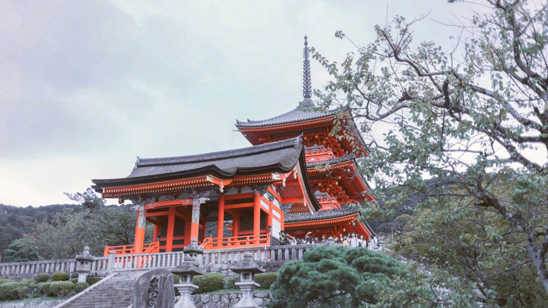 网红商城